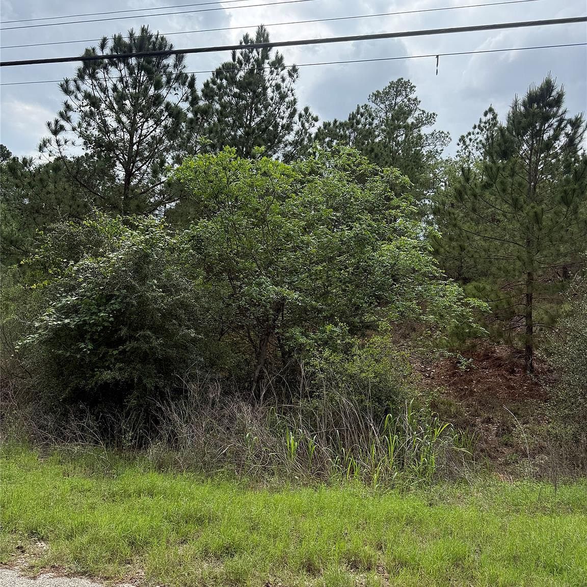 1360 N Kaupo Dr Bastrop, TX 78602 - Thumbnail 4