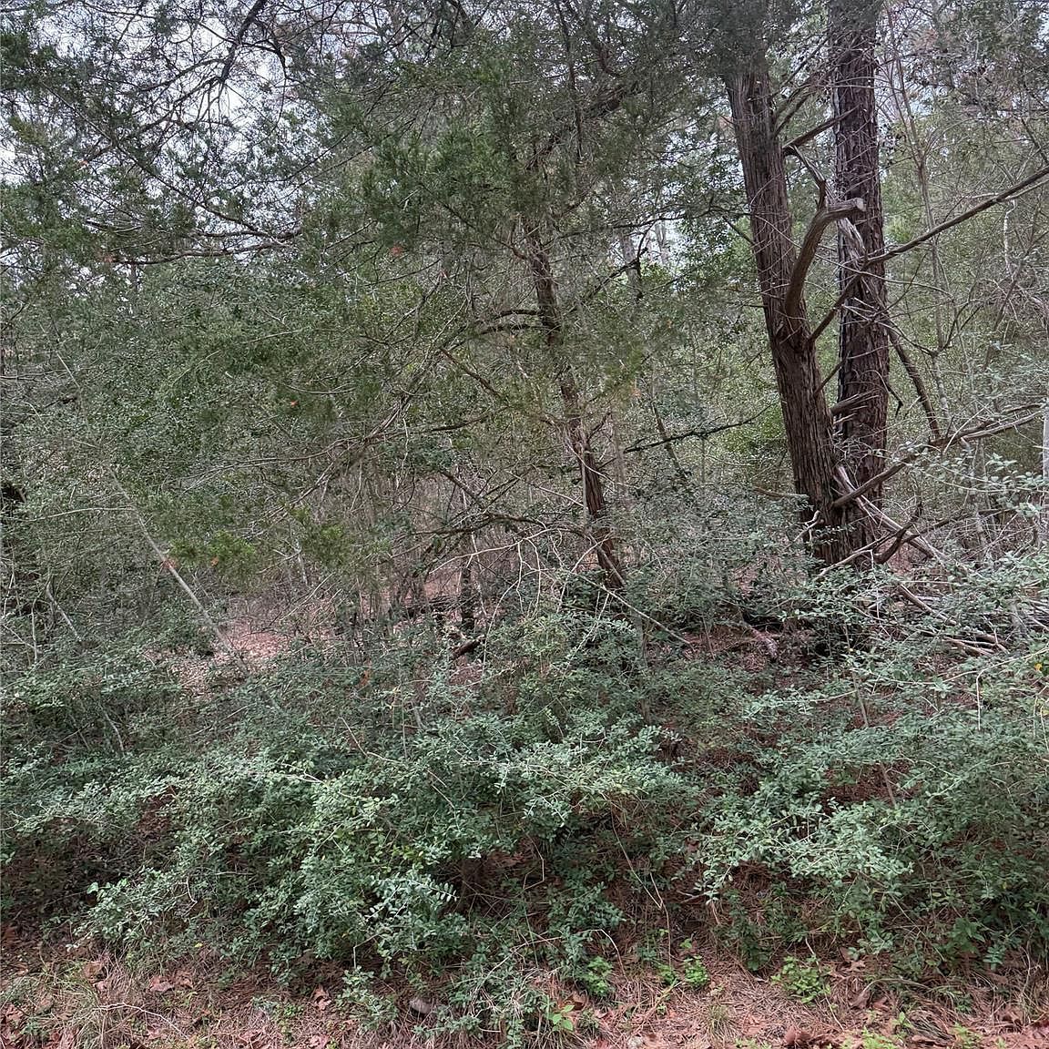 1428 Keaau Ct Bastrop, TX 78602 - Thumbnail 4