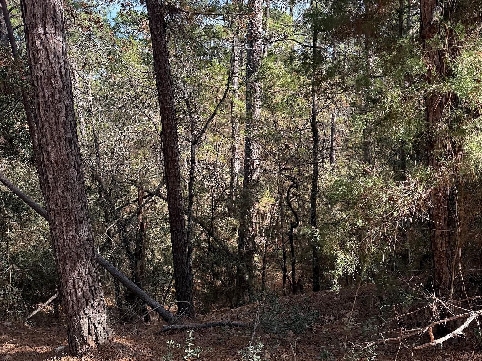 LOT 266 Wainee Dr Bastrop, TX 78602 - Thumbnail 4