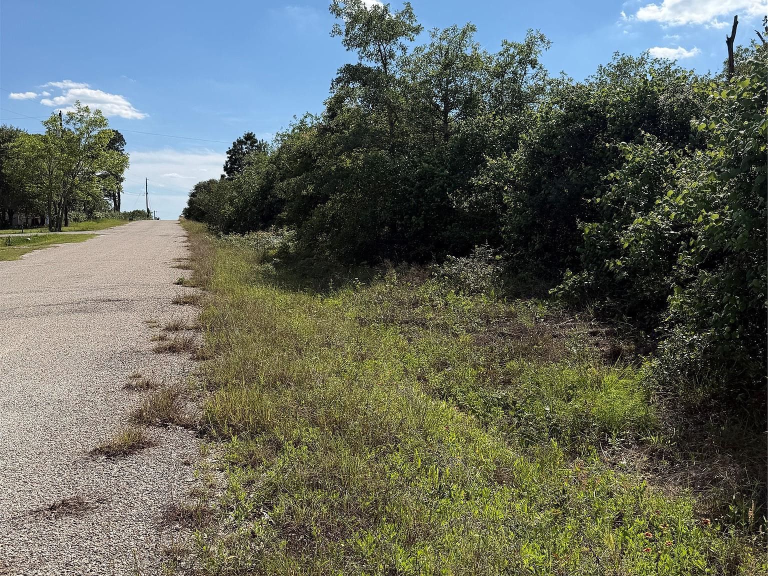 N Mockingbird Ln Bastrop, TX 78602 - Thumbnail 4