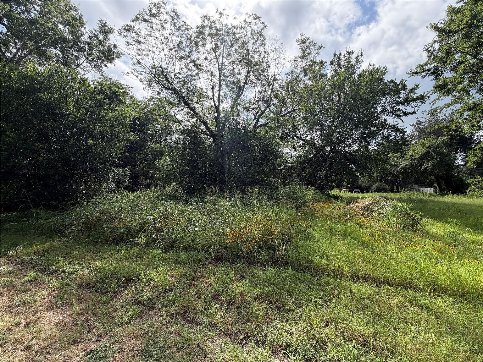305 Ross St Smithville, TX 78957 - Thumbnail 4