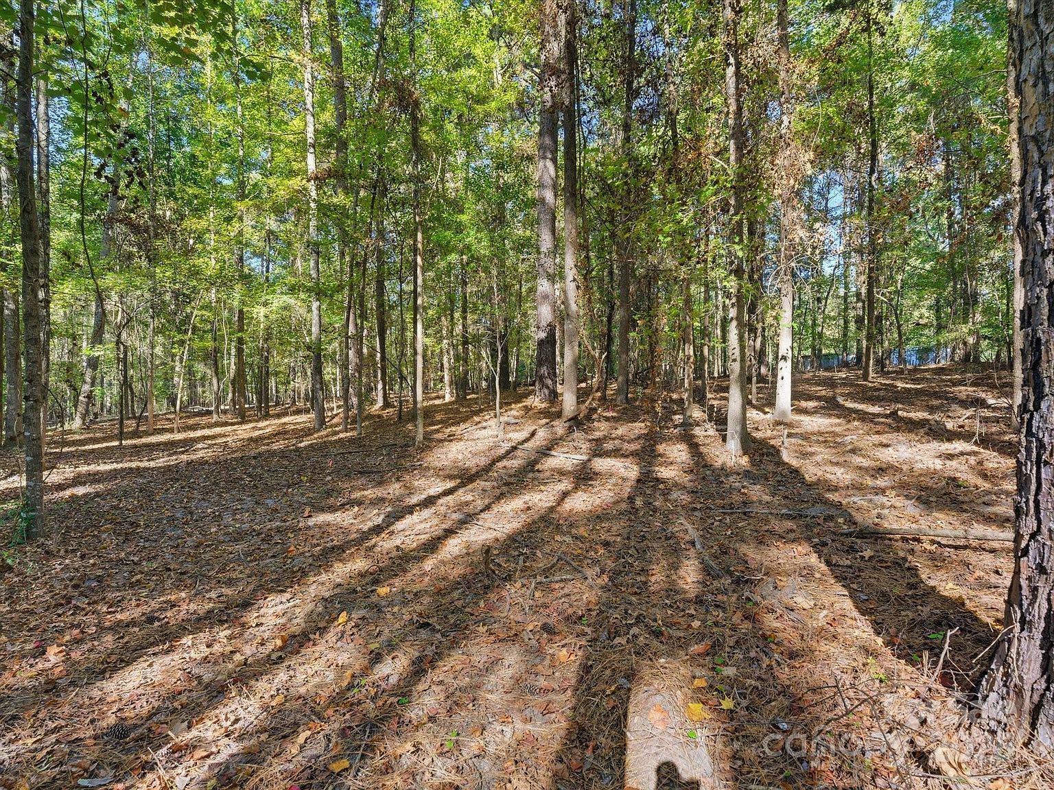 0 Rehobeth Rd Waxhaw, NC 28173 - Thumbnail 4