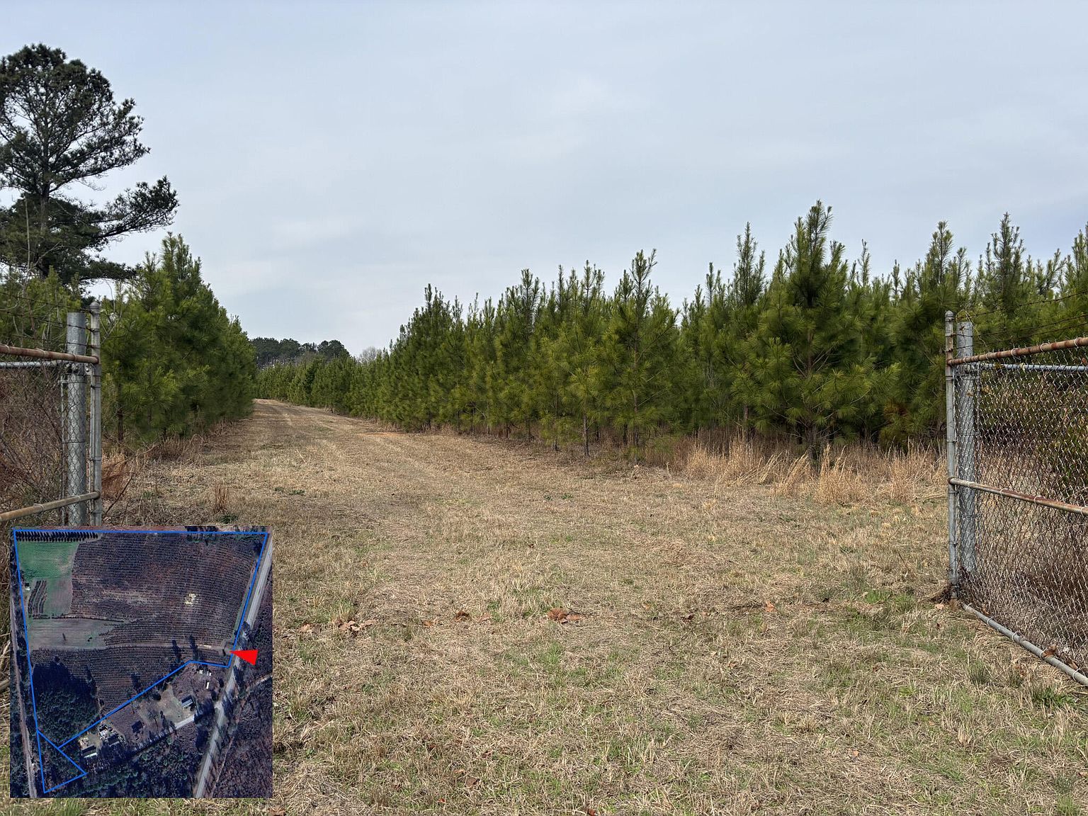 3120 Savannah Hwy North, SC 29112 - Thumbnail 4