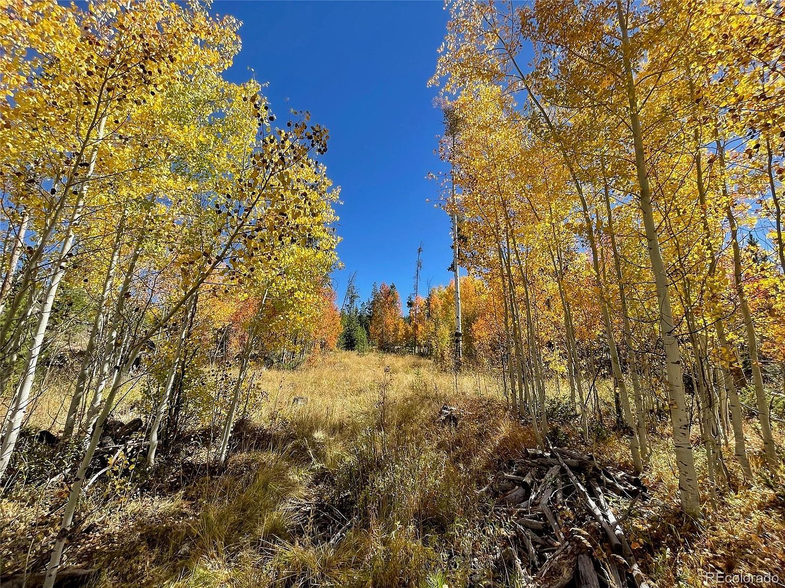 1384 County Road 642 Grand Lake, CO 80447 - Thumbnail 4