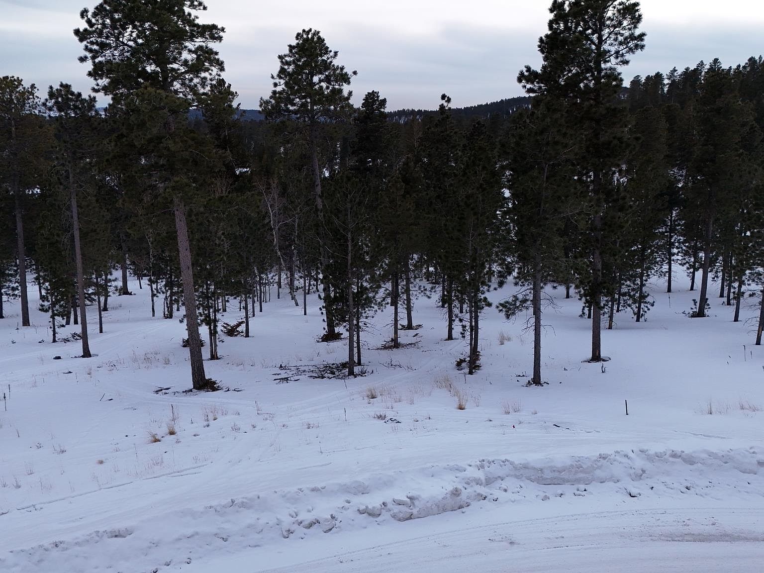 3 Overlook Pass Lead, SD 57754 - Thumbnail 4