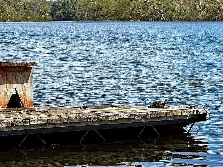 W2543 Rockford Rd #5 Sarona, WI 54870 - Thumbnail 4