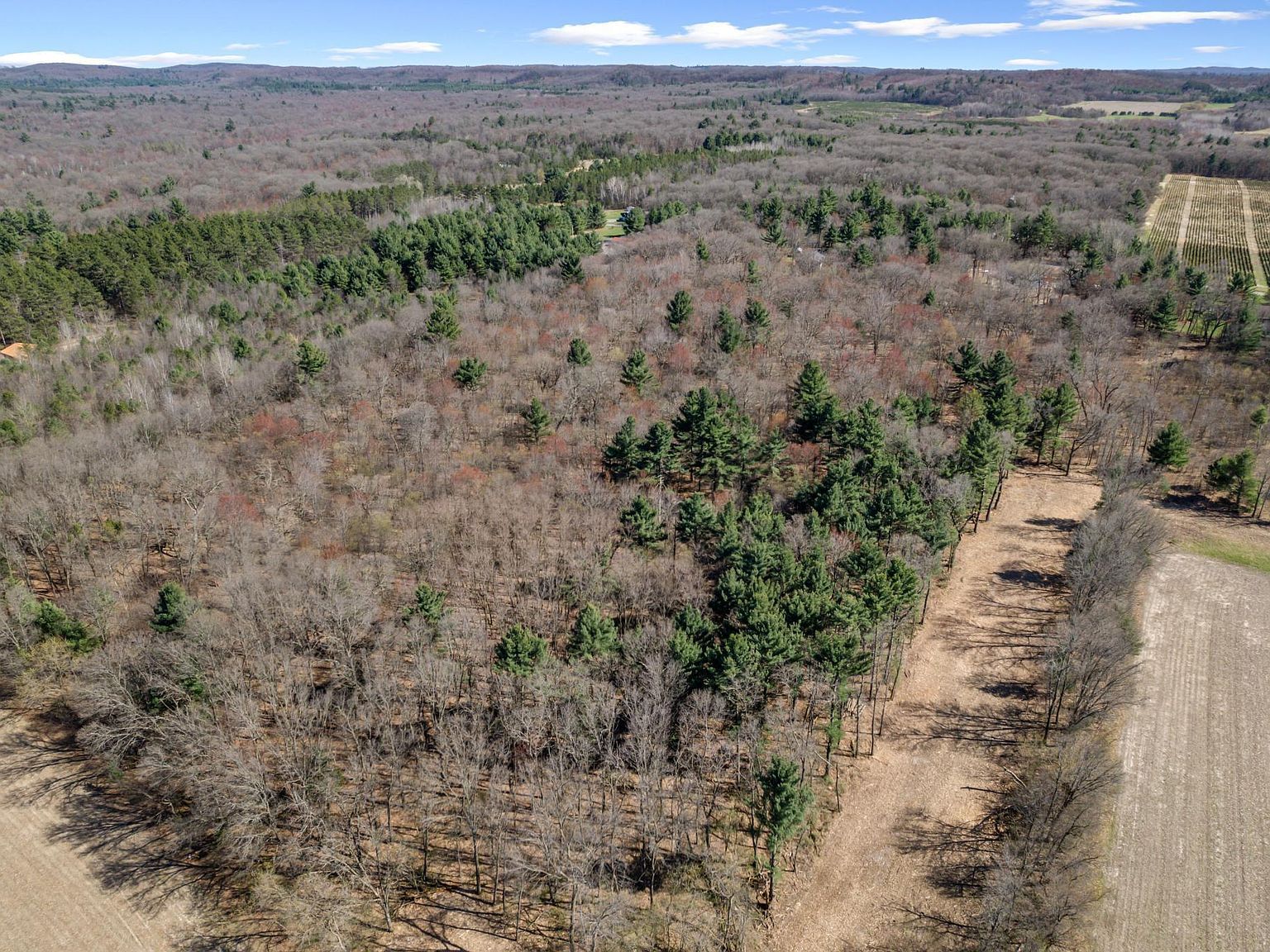 Montgomery Rd Hixton, WI 54635 - Thumbnail 4