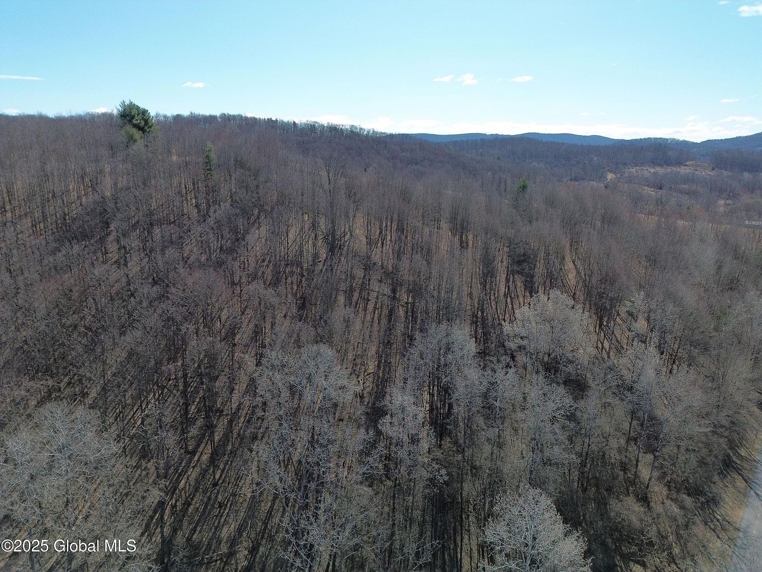 L22 Ryan Rd Greenwich, NY 12834 - Thumbnail 4