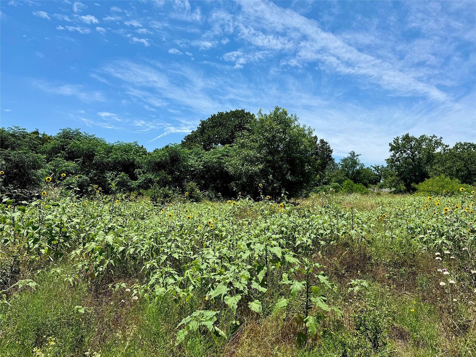 0 County Road 304 Bertram, TX 78605 - Thumbnail 4