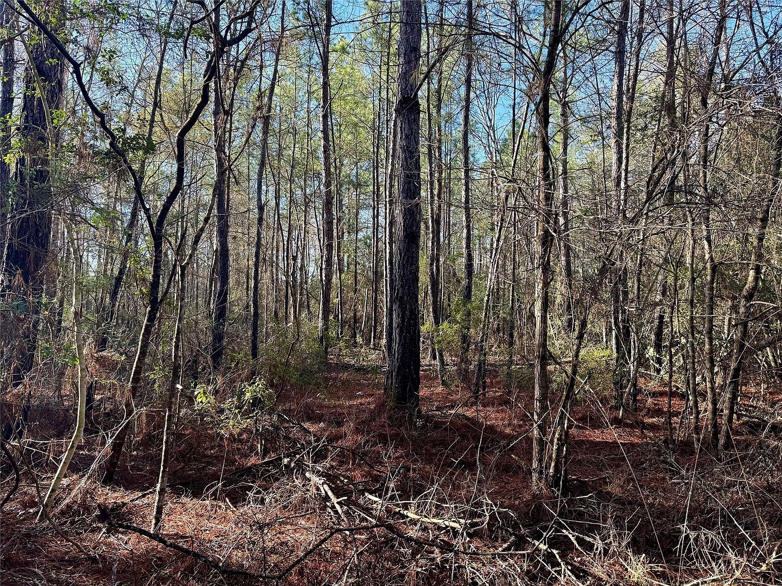 2694 Cr 4020 Crockett, TX 75835 - Thumbnail 4