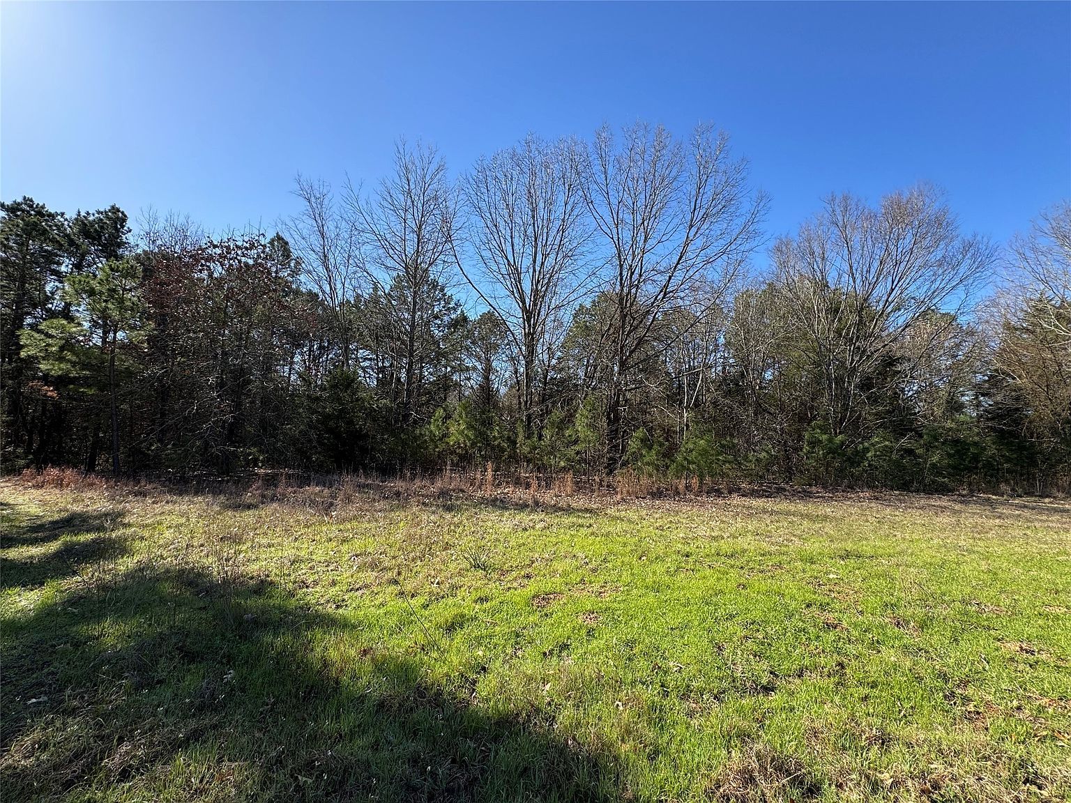 0 County Road 3419 Hawkins, TX 75765 - Thumbnail 4