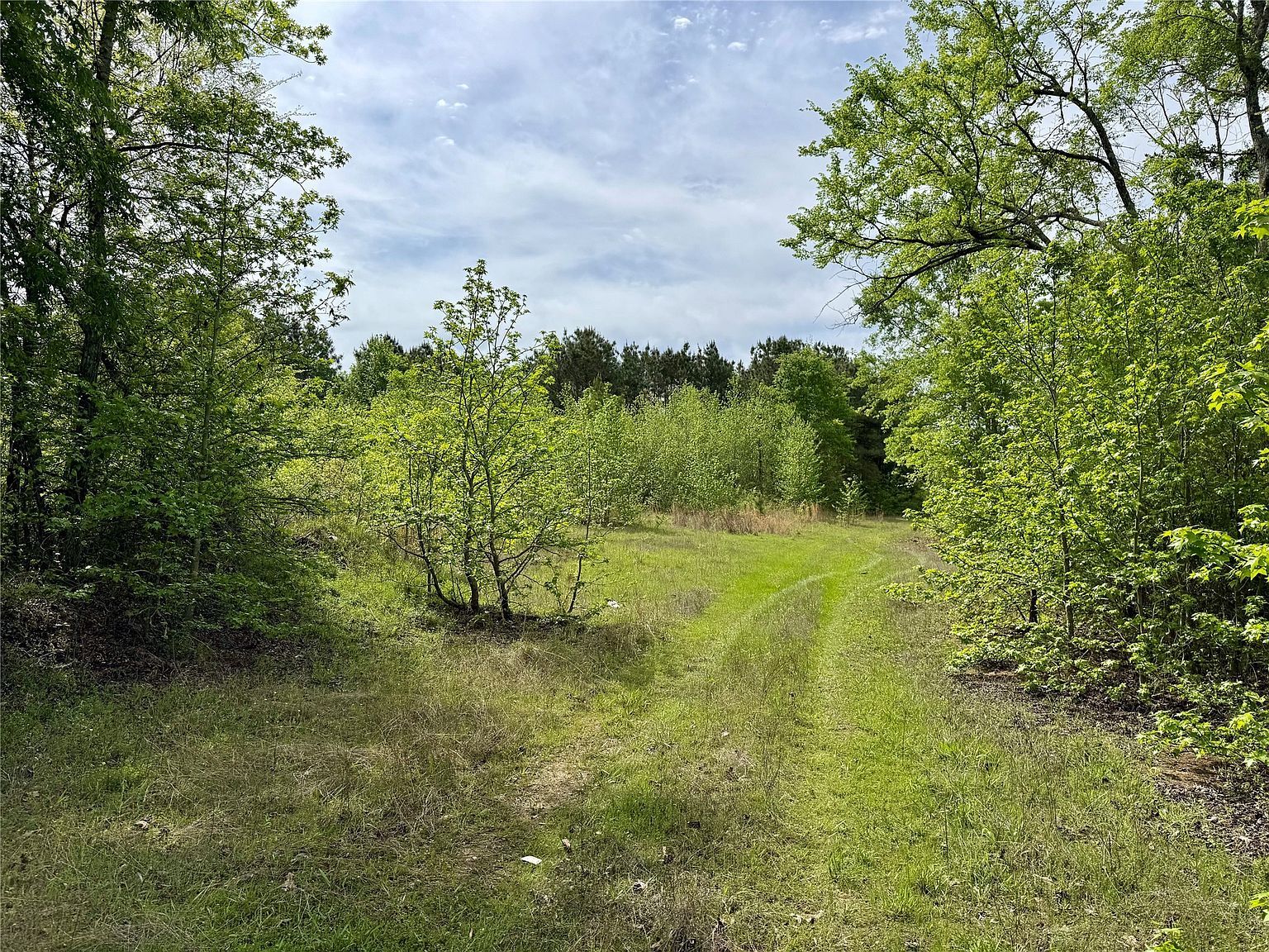 0 County Road 2742 Naples, TX 75568 - Thumbnail 4