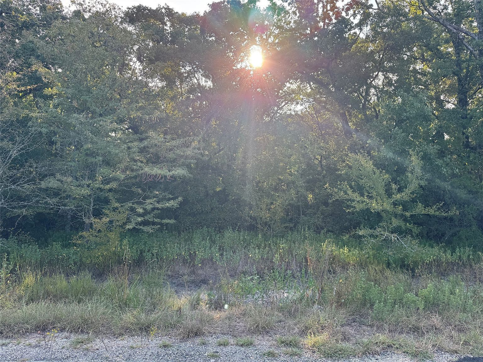 0 R And R Cir LOT 12 Kemp, TX 75143 - Thumbnail 4