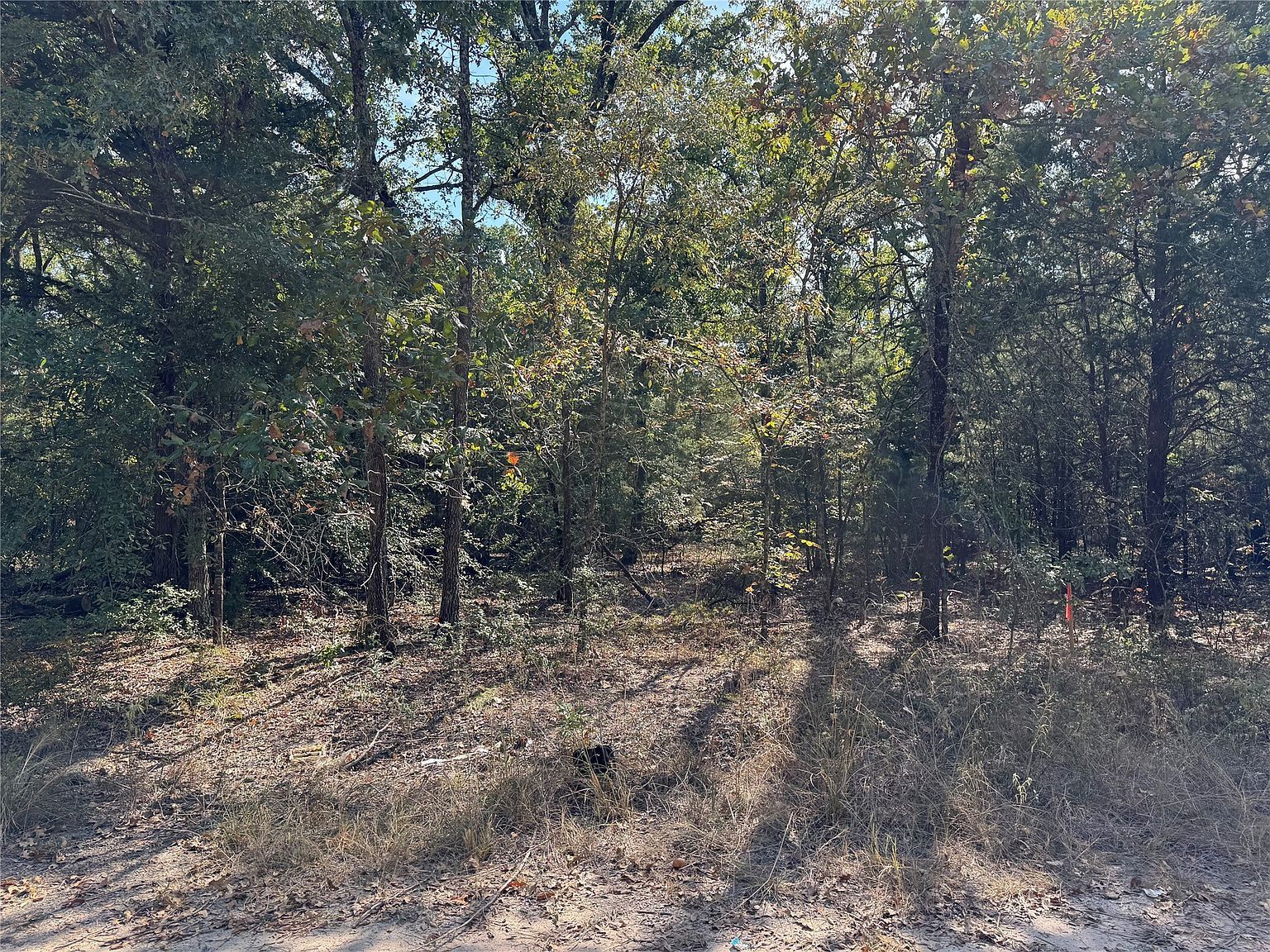 145 Kiowa Dr Mabank, TX 75156 - Thumbnail 4