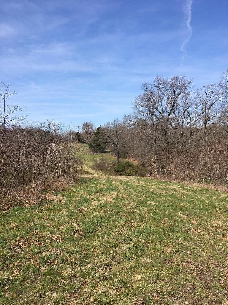 875 Windmill Rd Hollister, MO 65672 - Thumbnail 4