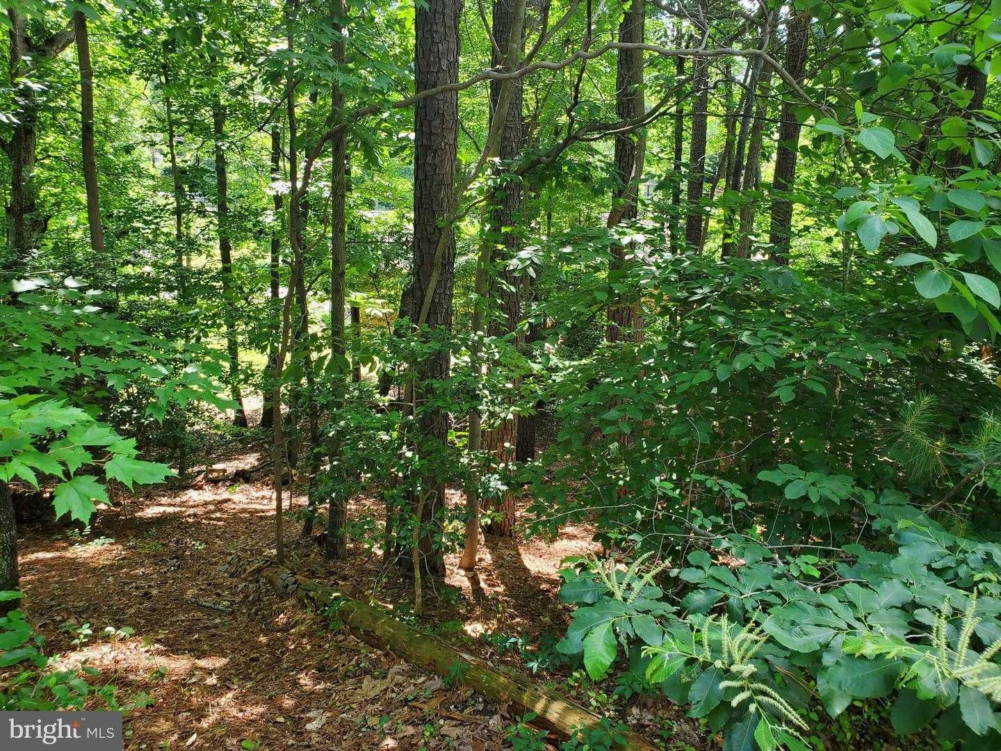 11522 San Rafael Road, Lusby, MD, USA, 20657 - Thumbnail 4