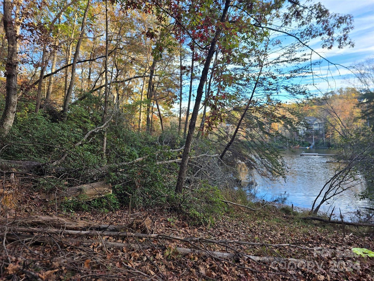 LOT 88 Woodland Cir Lake Lure, NC 28746 - Thumbnail 4