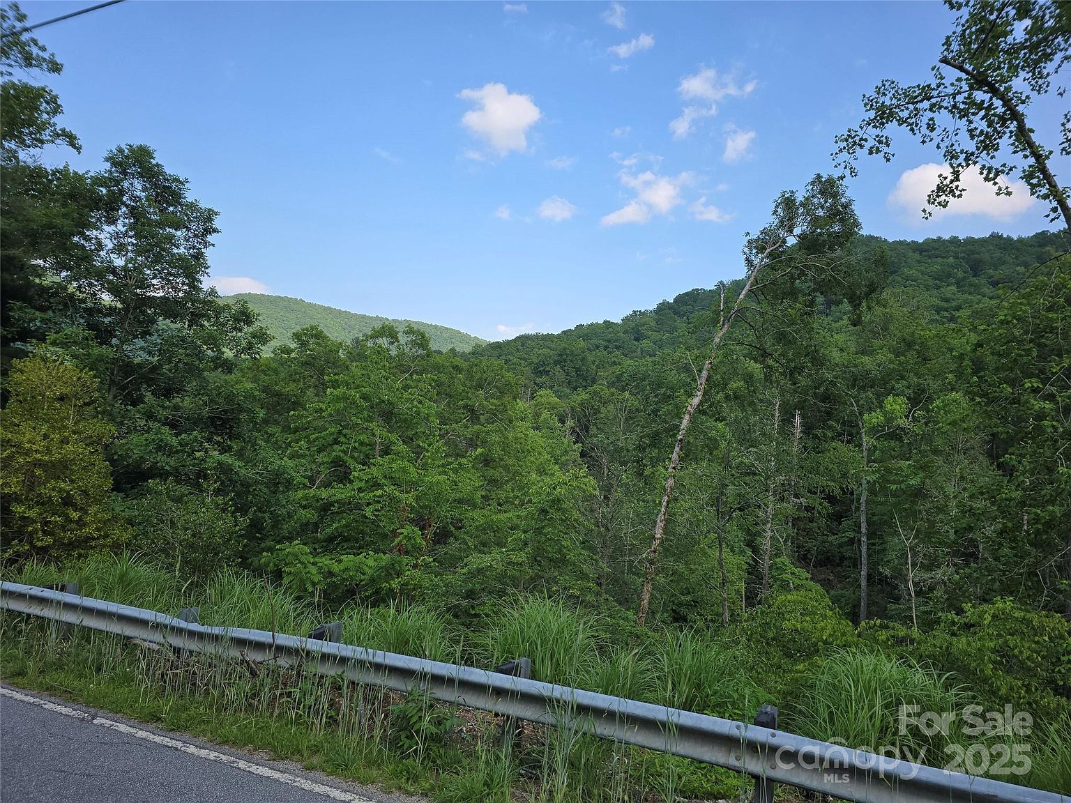 0 Angelwood Ln Hendersonville, NC 28792 - Thumbnail 4