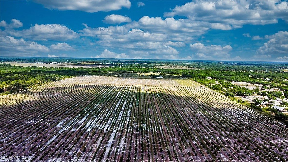 2321 Leroy Ave Alva, FL 33920 - Thumbnail 4