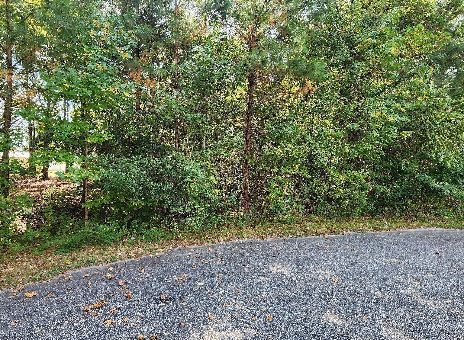 257 Fairhaven Dr LOT 14 Zebulon, NC 27597 - Thumbnail 4