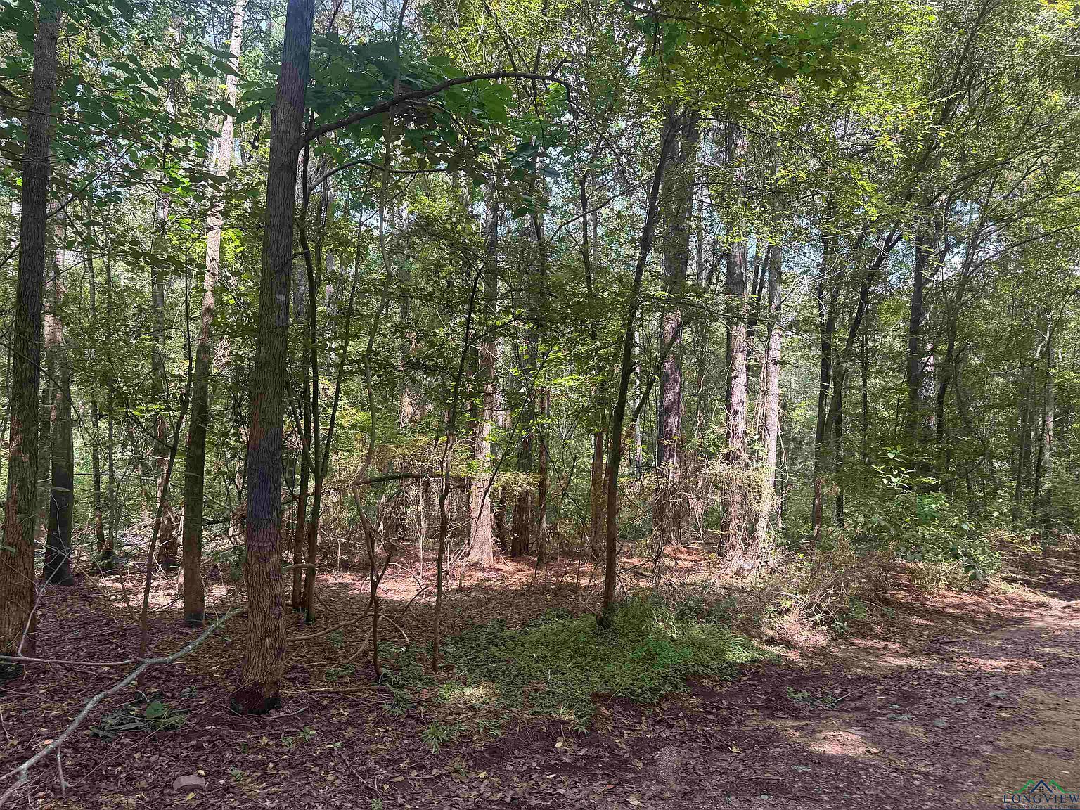 1745 Fm 1252 W, Kilgore, TX, 75662 | Land/Lot