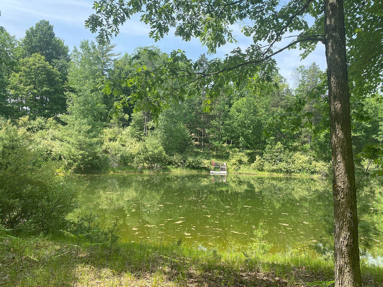 12004 Buchanan Rd #4243 Stanwood, MI 49346 - Thumbnail 4