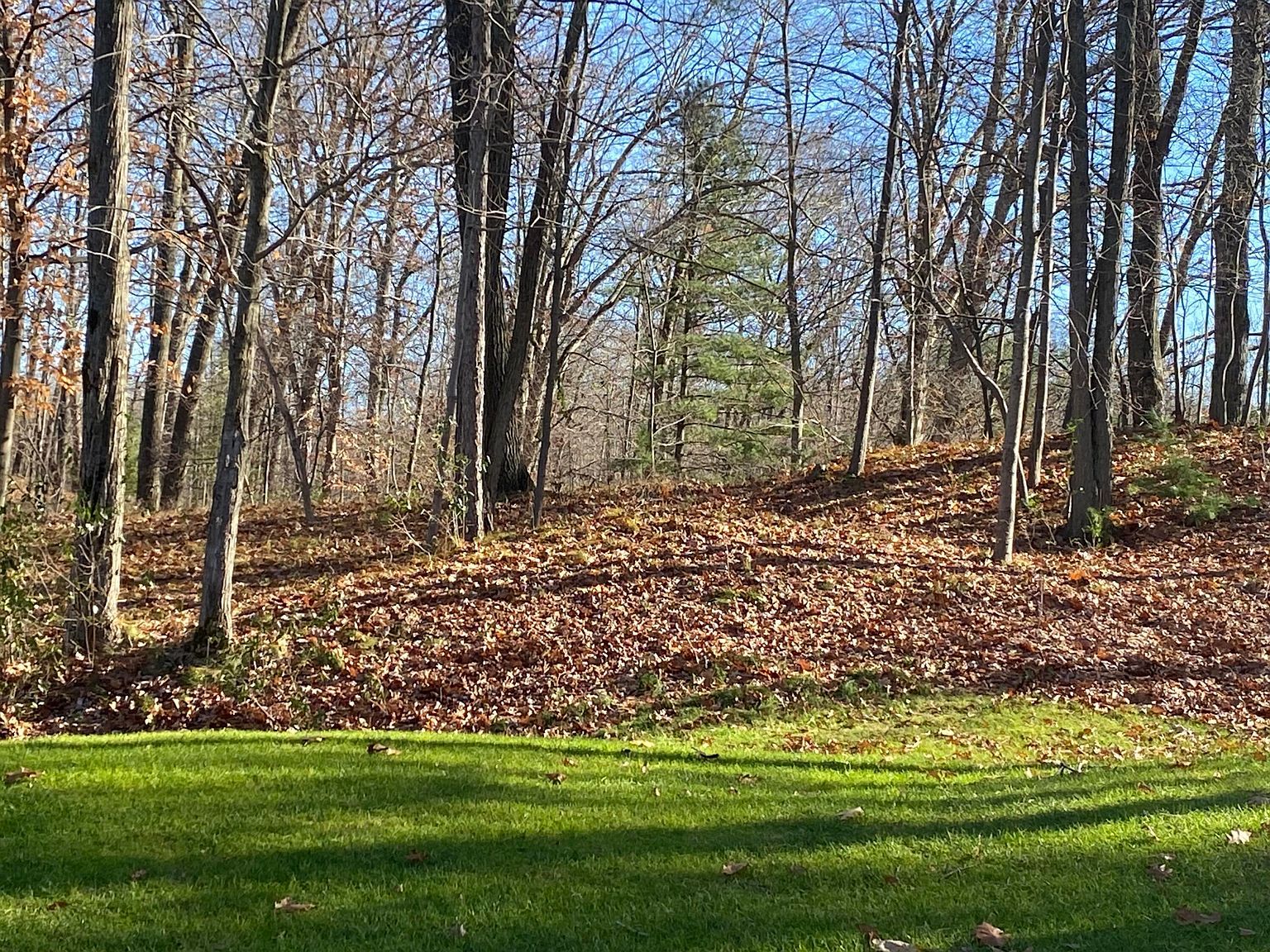 8975 Whispering Ln #234-235 Stanwood, MI 49346 - Thumbnail 4