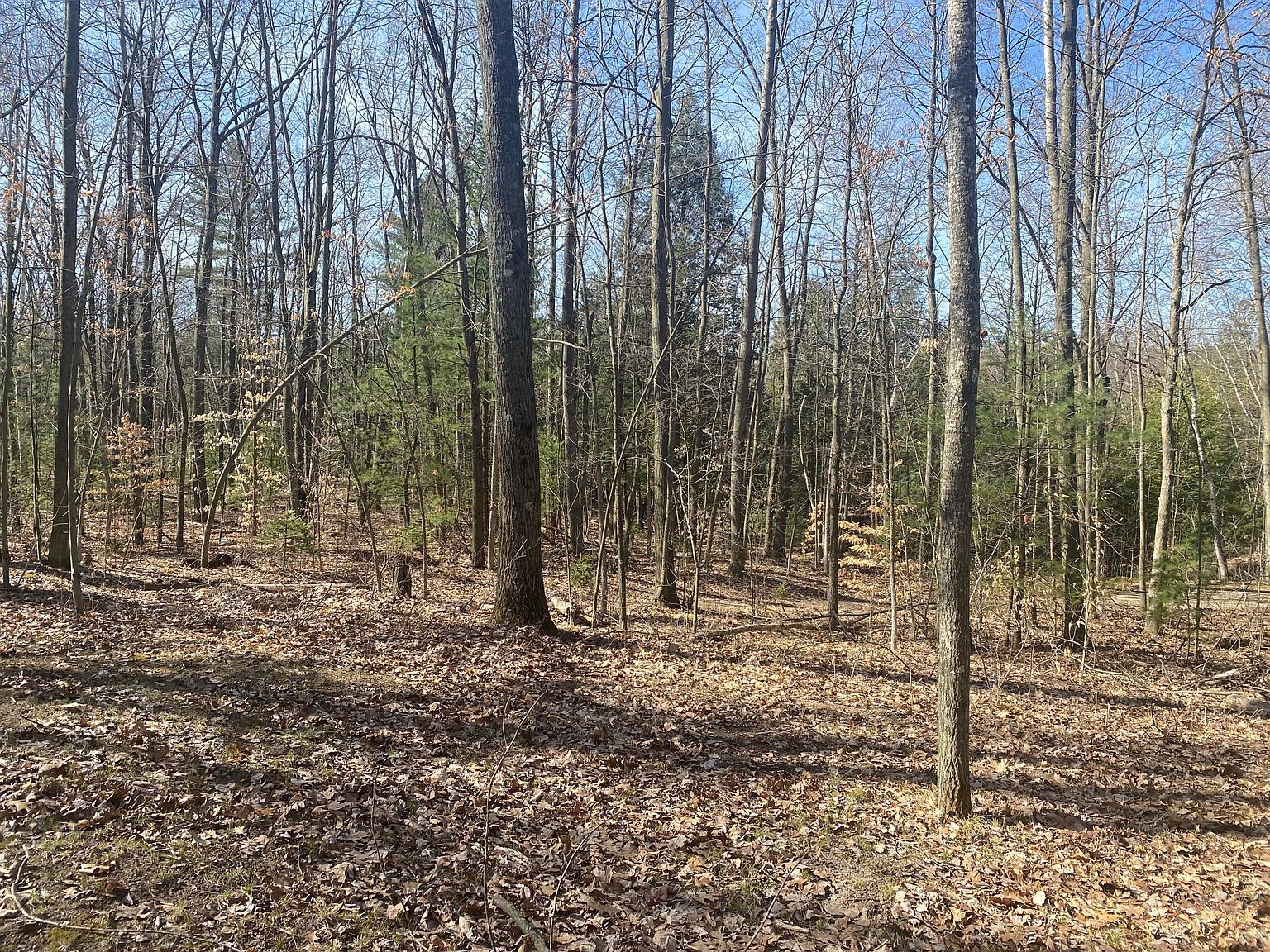 9019 John St Mecosta, MI 49332 - Thumbnail 4