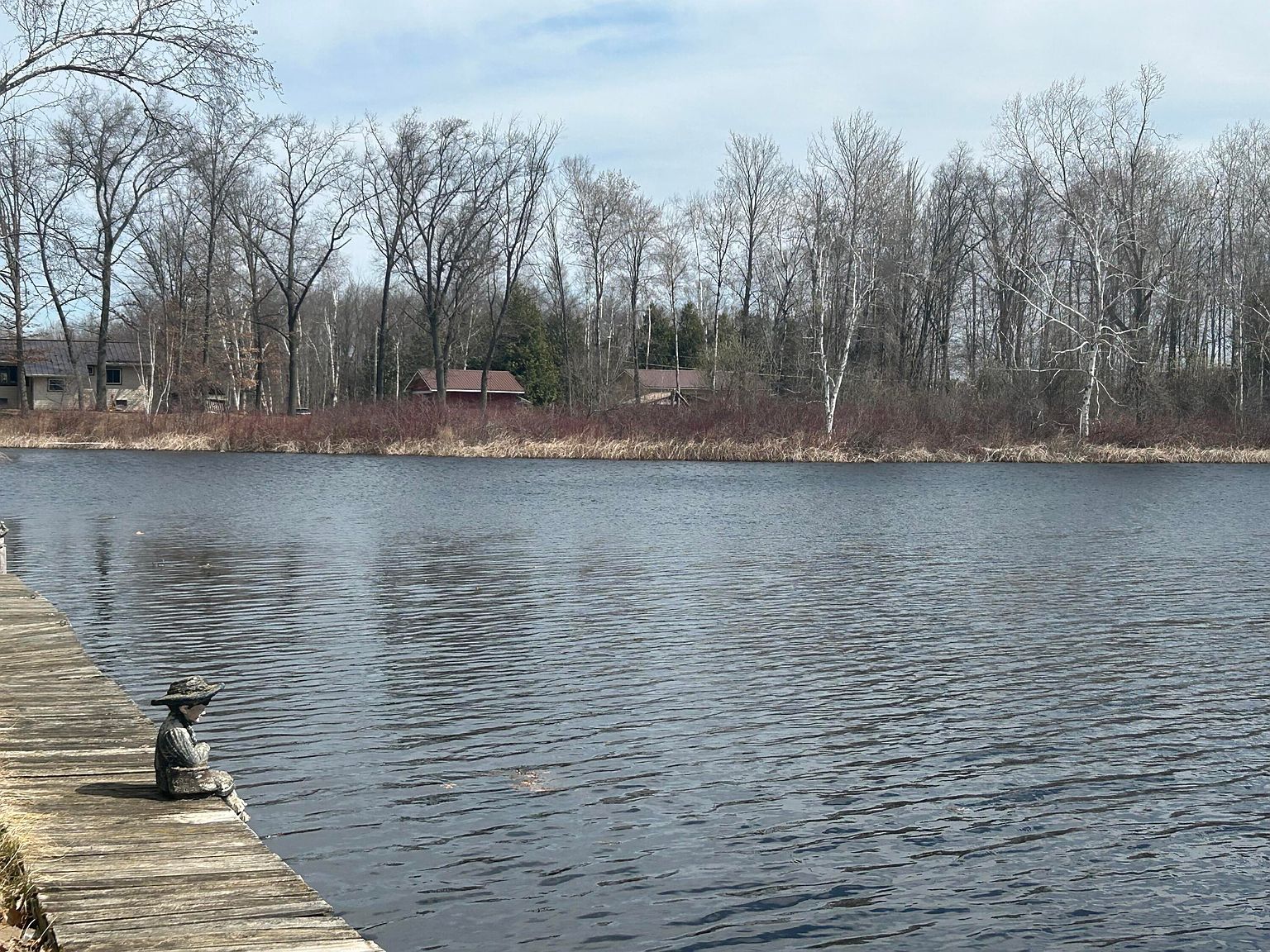 5383 Birch Island Dr #101 Barryton, MI 49305 - Thumbnail 4