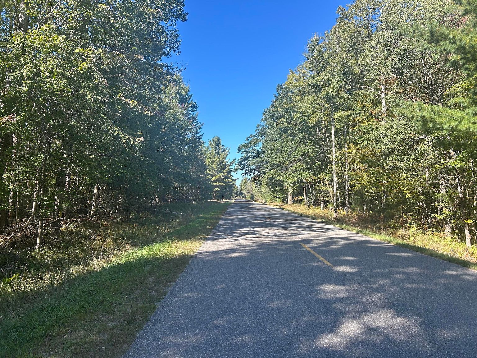 6195 110th Ave, Stanwood, MI, 49346 - Thumbnail 4