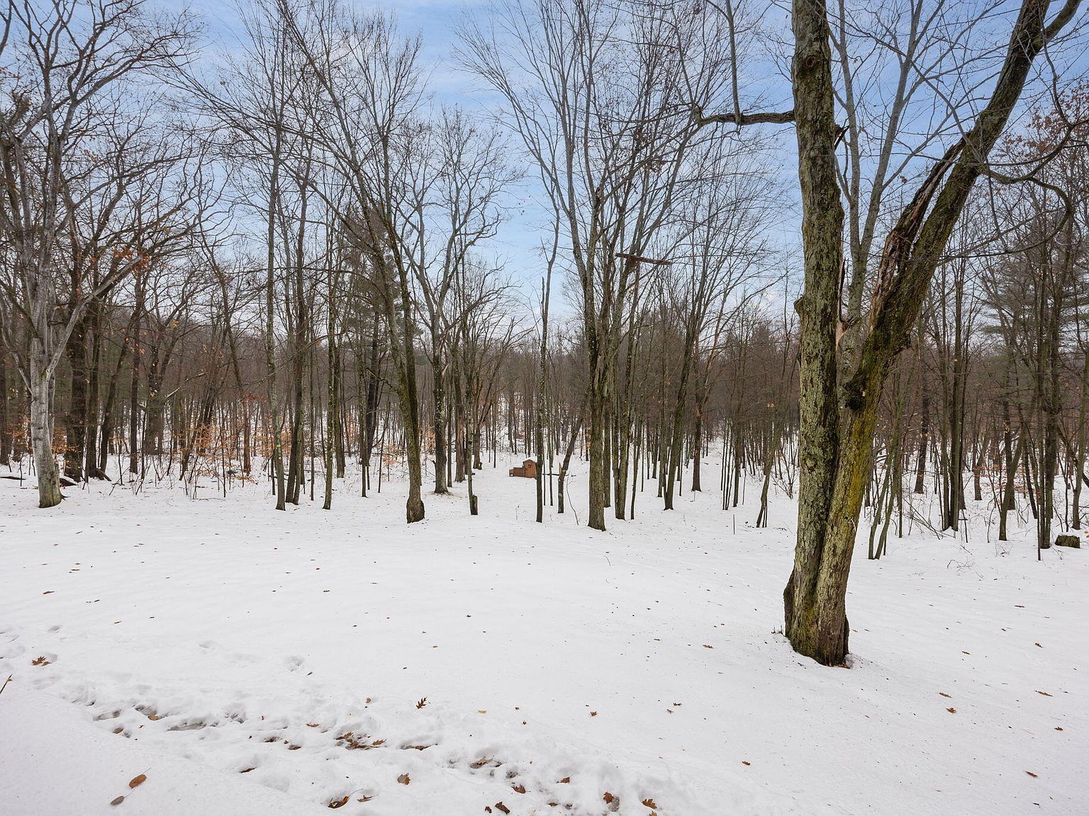 23020 Thirteen Mile Rd Big Rapids, MI 49307 - Thumbnail 4