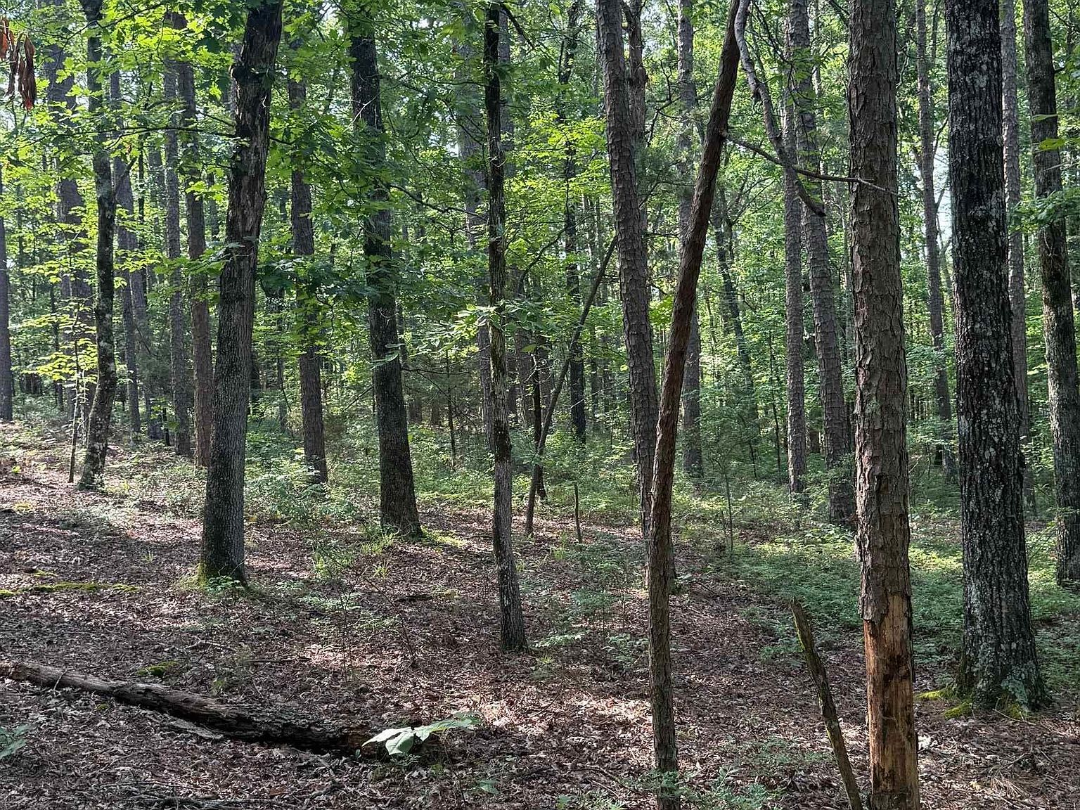 Almansa Ln Hot Springs Village, AR 71909 - Thumbnail 4