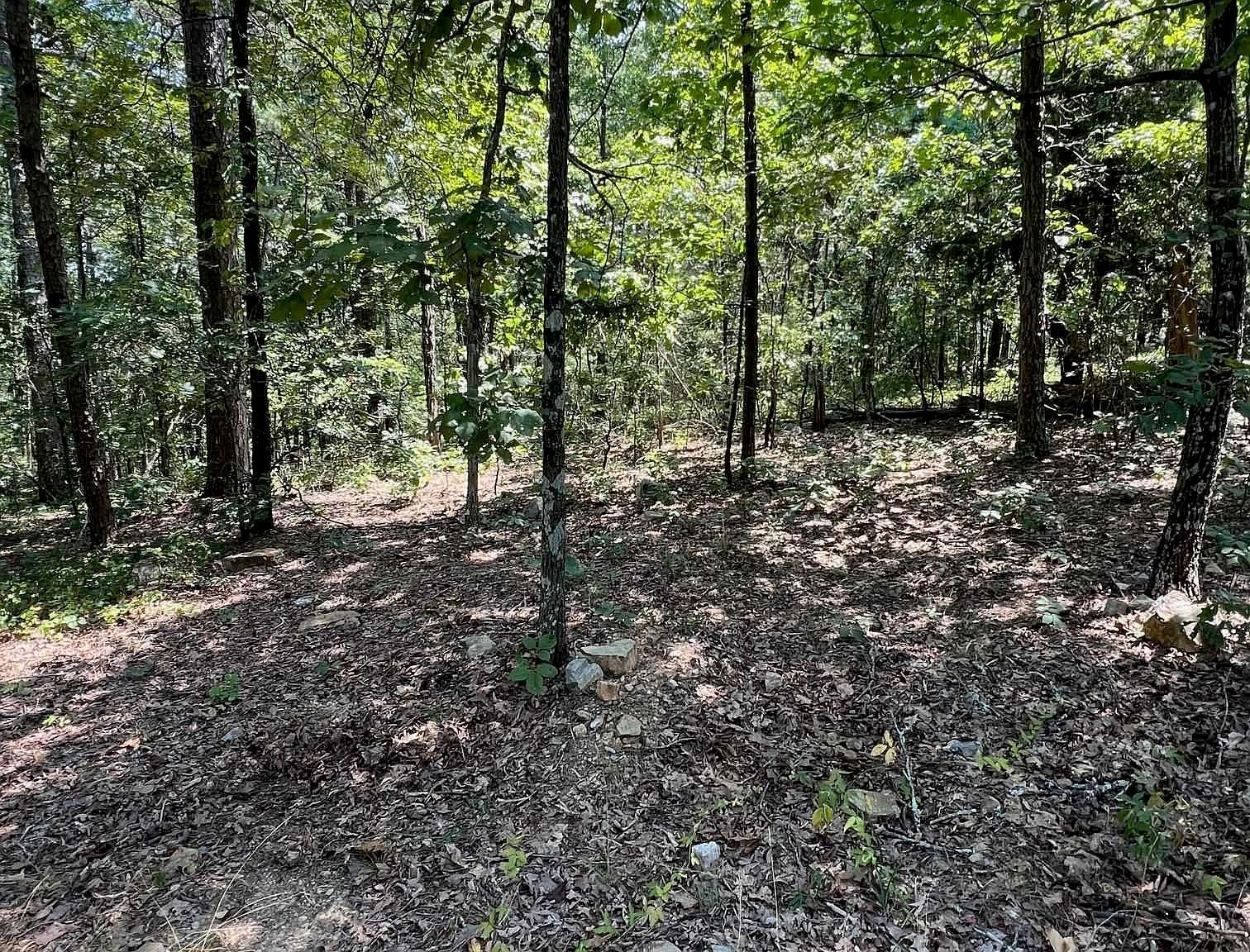 Murcia Way Hot Springs Village, AR 71909 - Thumbnail 4