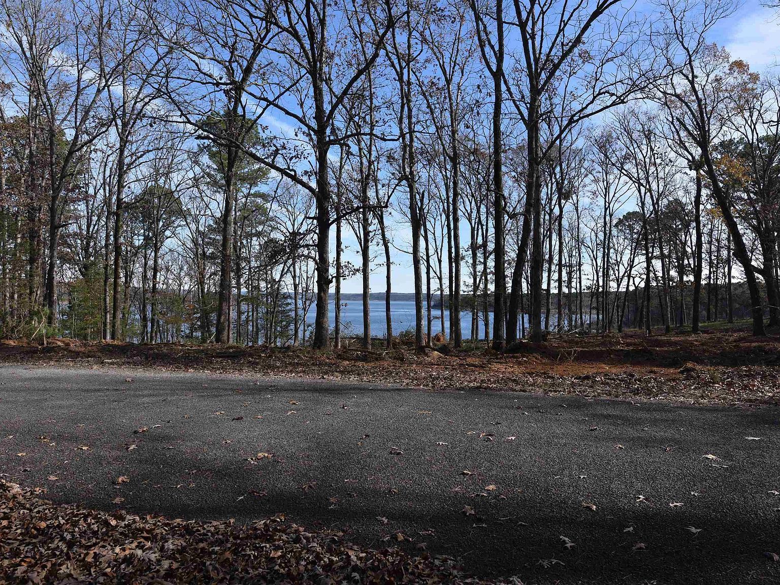 LOT 53 Sunnyside Ave, Fairfield Bay, AR, 72088 - Thumbnail 4