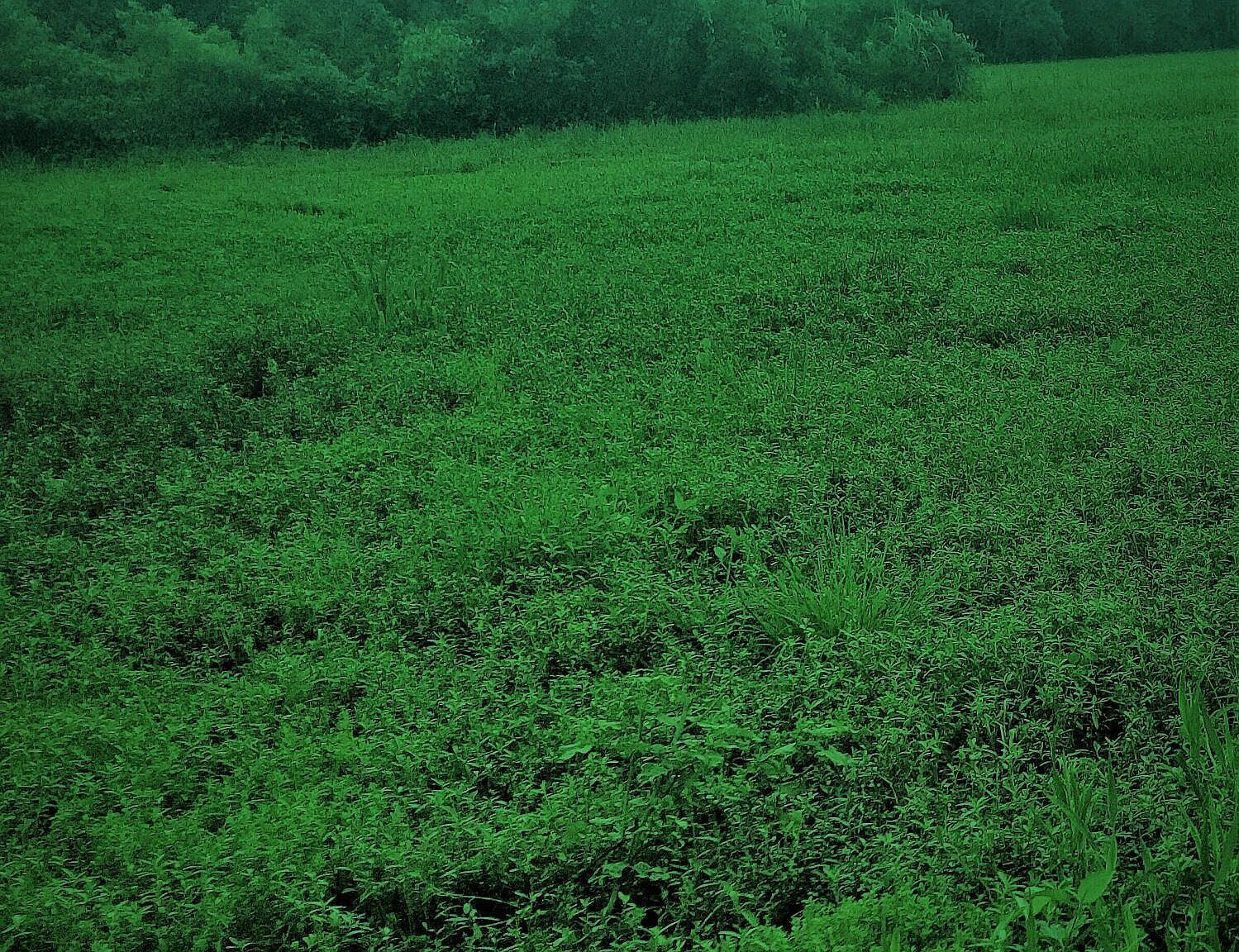 TBD La-10 Opelousas, LA 70570  | Land/Lot