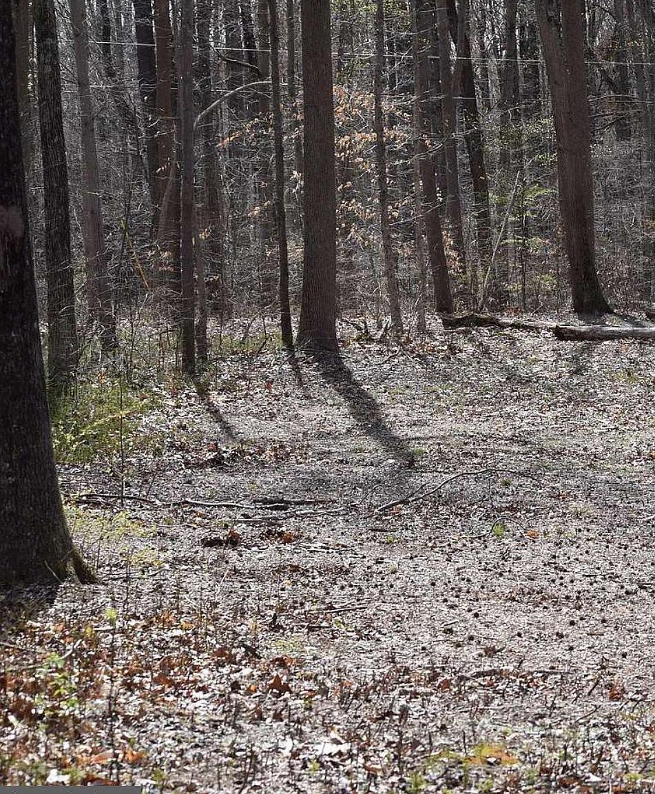 355 Masseys Church Rd Smyrna, DE 19977 - Thumbnail 4