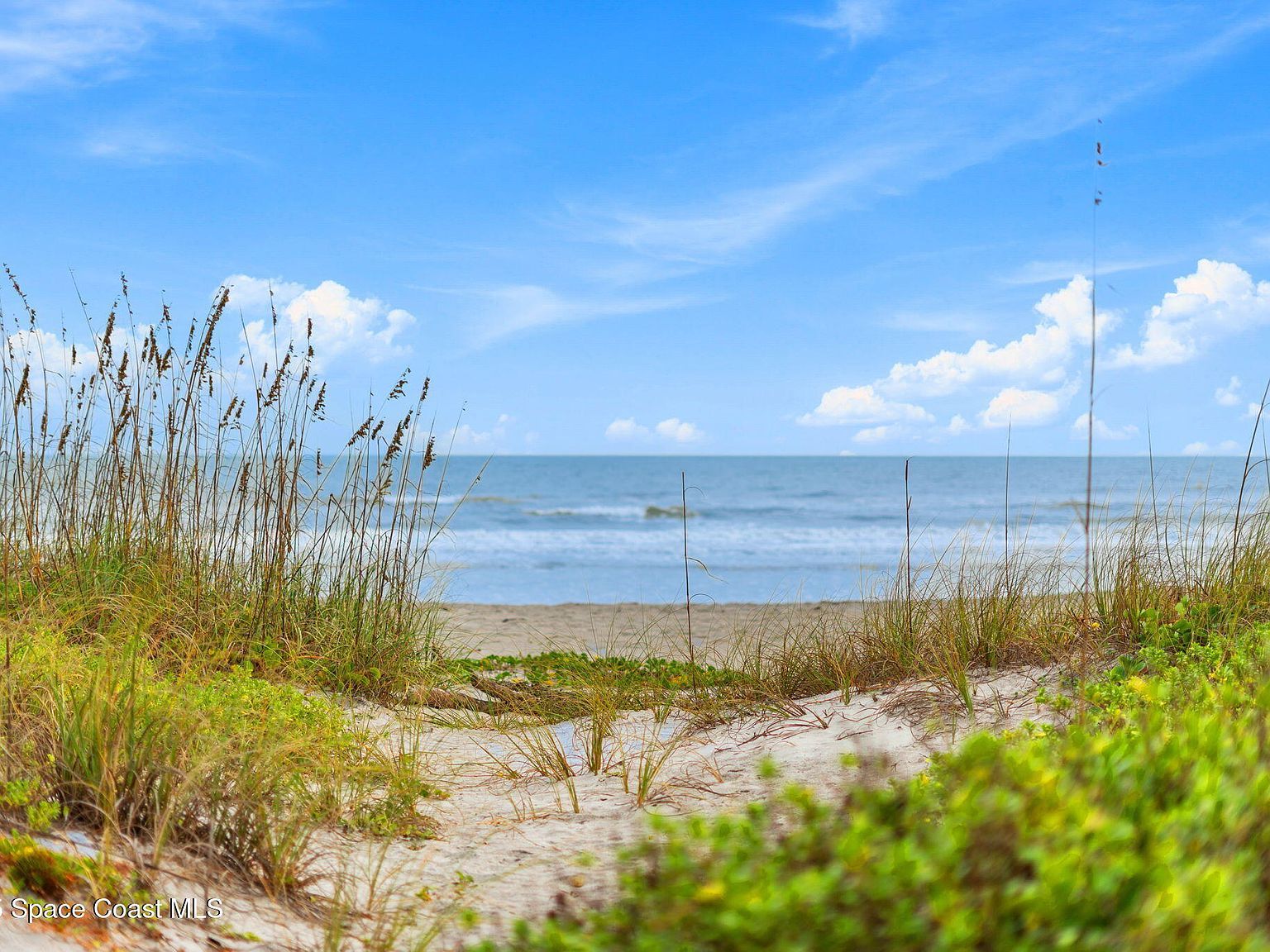 659 S Atlantic Ave Cocoa Beach, FL 32931 - Thumbnail 4