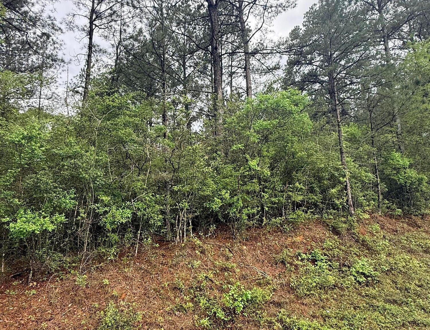 0 Rainey Rd Moselle, MS 39459 - Thumbnail 4