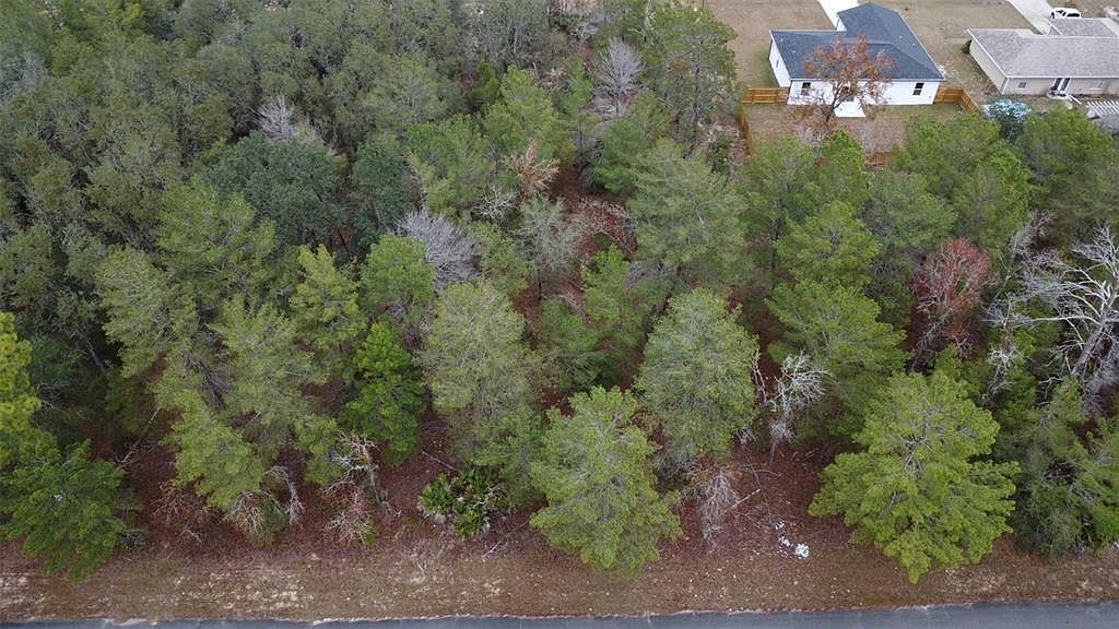 Malauka Dr LOT 11 Ocklawaha, FL 32179 - Thumbnail 4