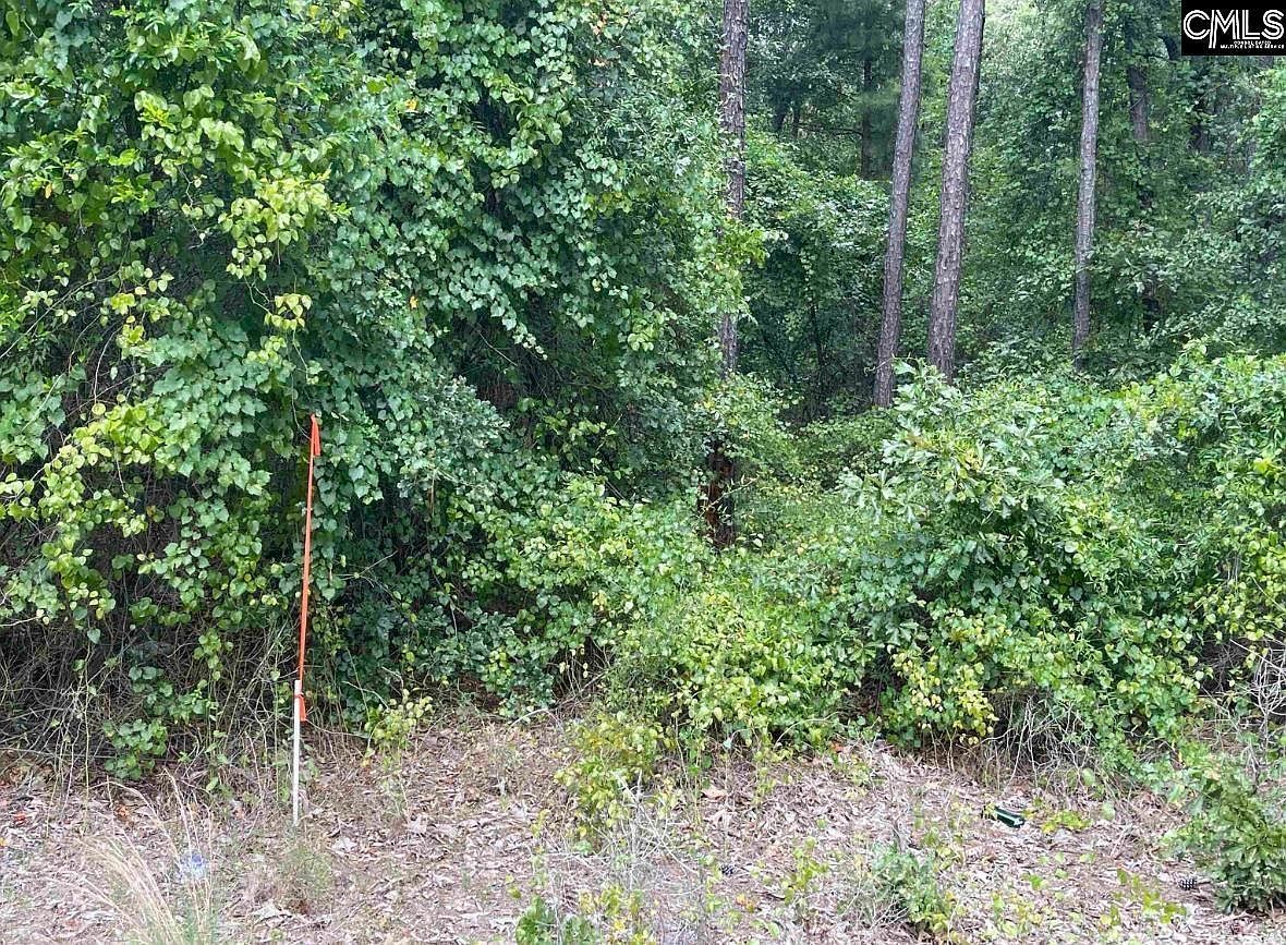 2372 Miles Rd Elgin, SC 29045 - Thumbnail 4