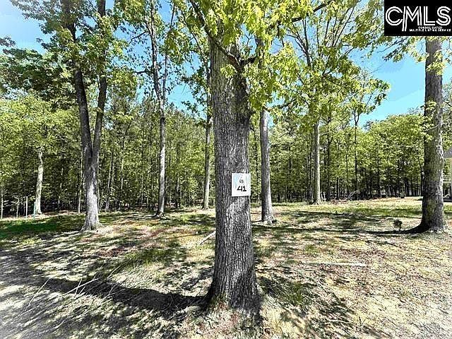 41 Shoreview Dr #41 Prosperity, SC 29127 - Thumbnail 4