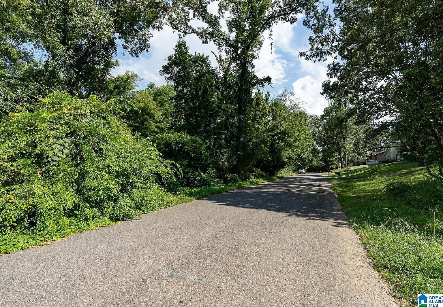 0 Mayflower Dr #23 & 24 Birmingham, AL 35226 - Thumbnail 4