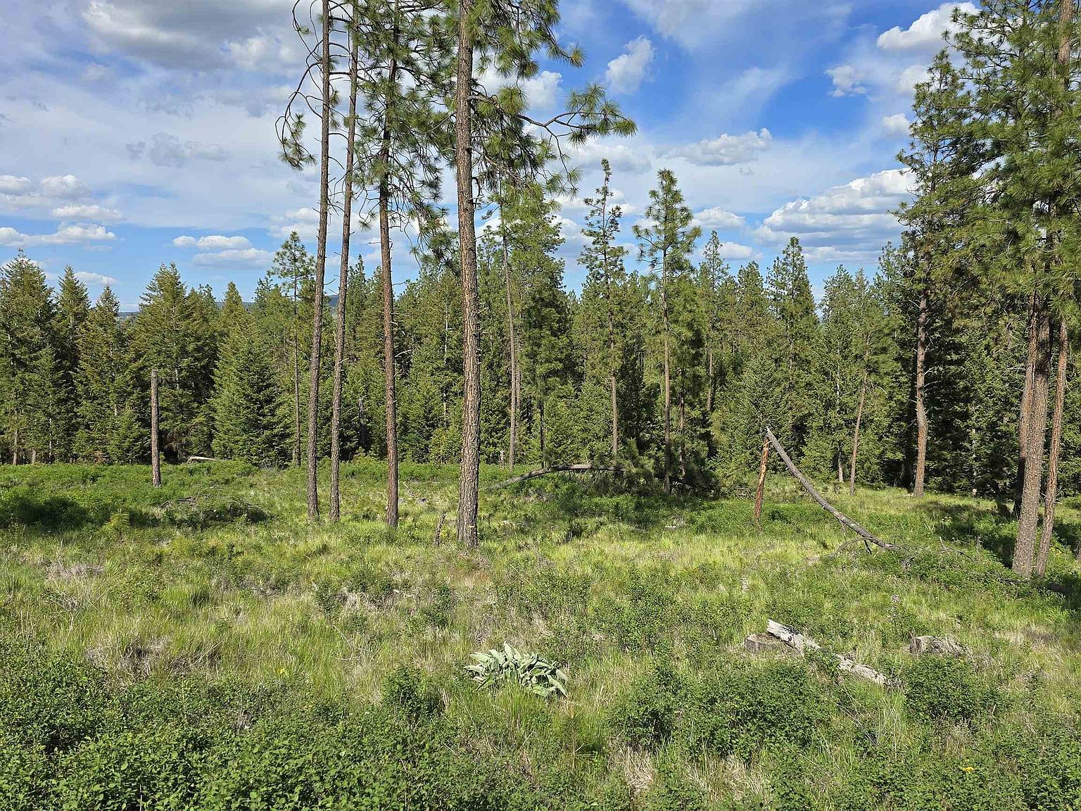 22XX E Miller Rd Spangle, WA 99031 - Thumbnail 4