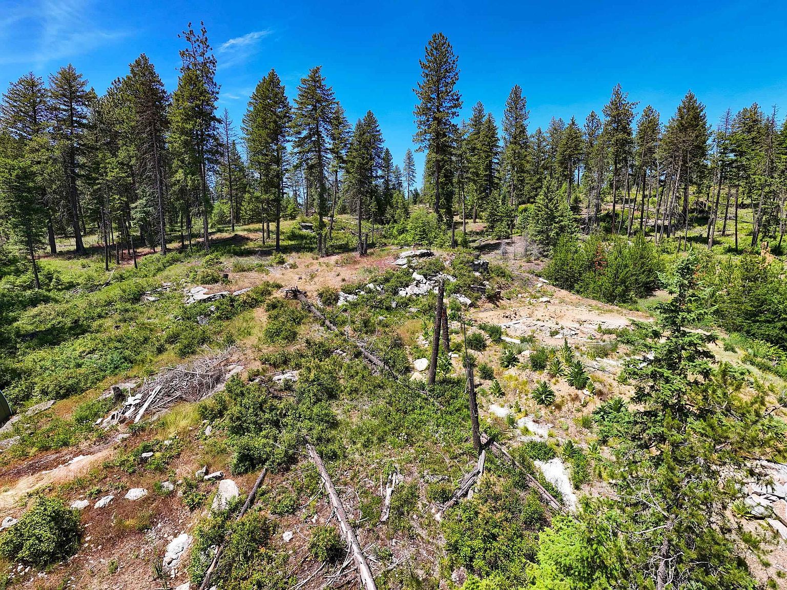 54XX Northshore Diamond Lake Rd Newport, WA 99156 - Thumbnail 4