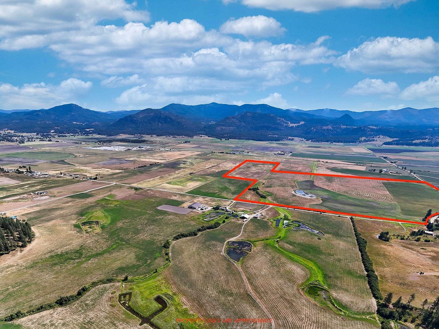 2536 Heine Rd Chewelah, WA 99109 - Thumbnail 4