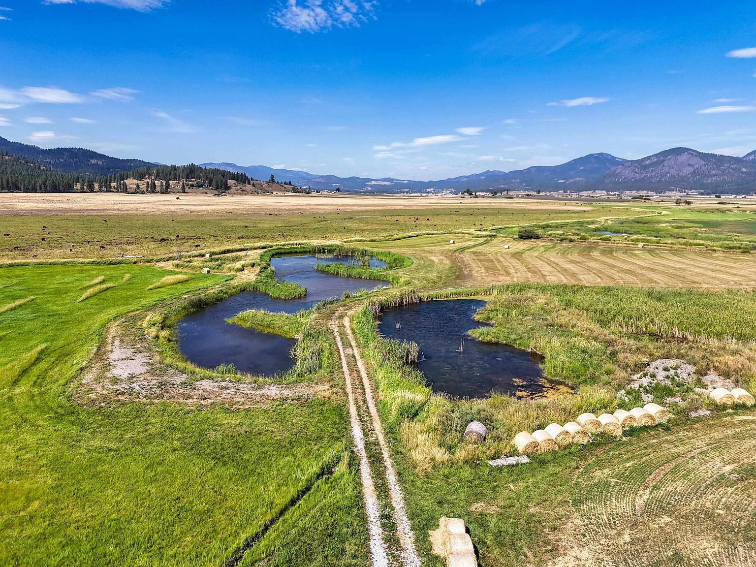 100XX Newton Rd Chewelah, WA 99109 - Thumbnail 4