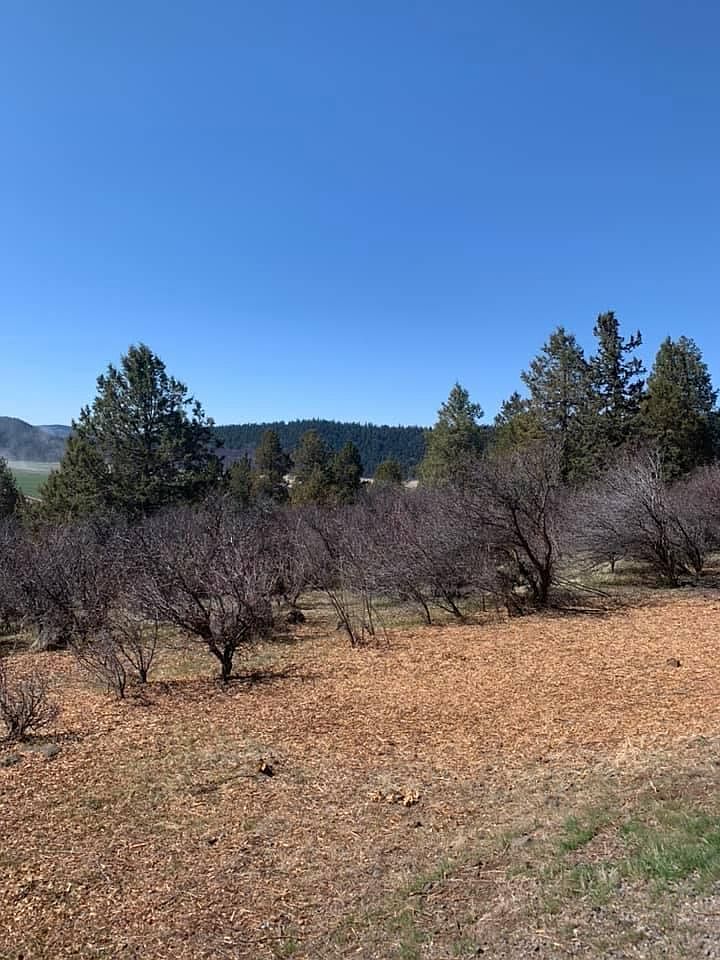 Crossbill Dr LOT 1062 Klamath Falls, OR 97601 - Thumbnail 4