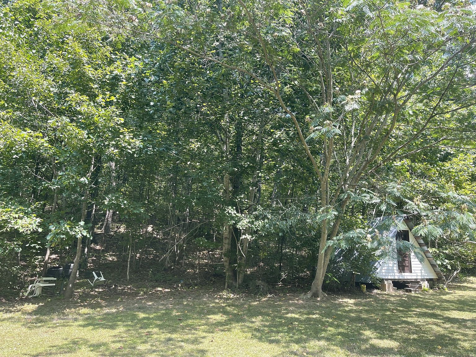 123 Limekiln Rd Erin, TN 37061 - Thumbnail 4