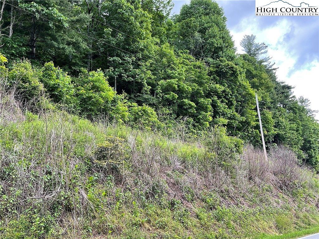 0 Buckeye Hollow Rd Newland, NC 28657 - Thumbnail 4