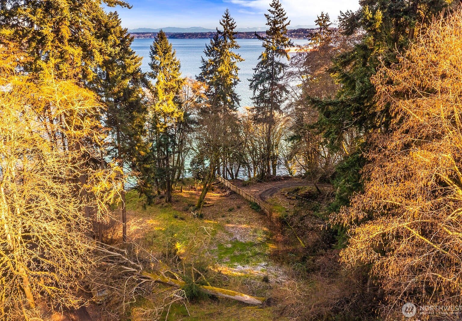 290 Xx 125th Pl SW Vashon, WA 98070 - Thumbnail 4